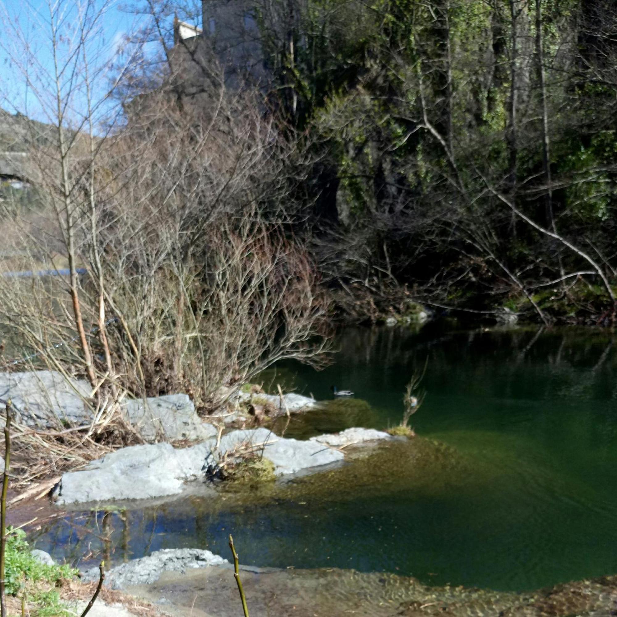 Le Moulin Aux Chandelles 2, Vacances & W-E, Vues Riviere, Montagne & Ville, Tout Confort Deconnecte, Eclairage Bougies, Connexions A 200M Au Centre Le Vigan Gite Les Amoureux De L'Arre, Randonnee Chemin De Saint-Guilhem-Le-Desert, Lire Profil Avant R ภายนอก รูปภาพ