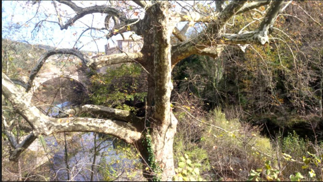 Le Moulin Aux Chandelles 2, Vacances & W-E, Vues Riviere, Montagne & Ville, Tout Confort Deconnecte, Eclairage Bougies, Connexions A 200M Au Centre Le Vigan Gite Les Amoureux De L'Arre, Randonnee Chemin De Saint-Guilhem-Le-Desert, Lire Profil Avant R ภายนอก รูปภาพ
