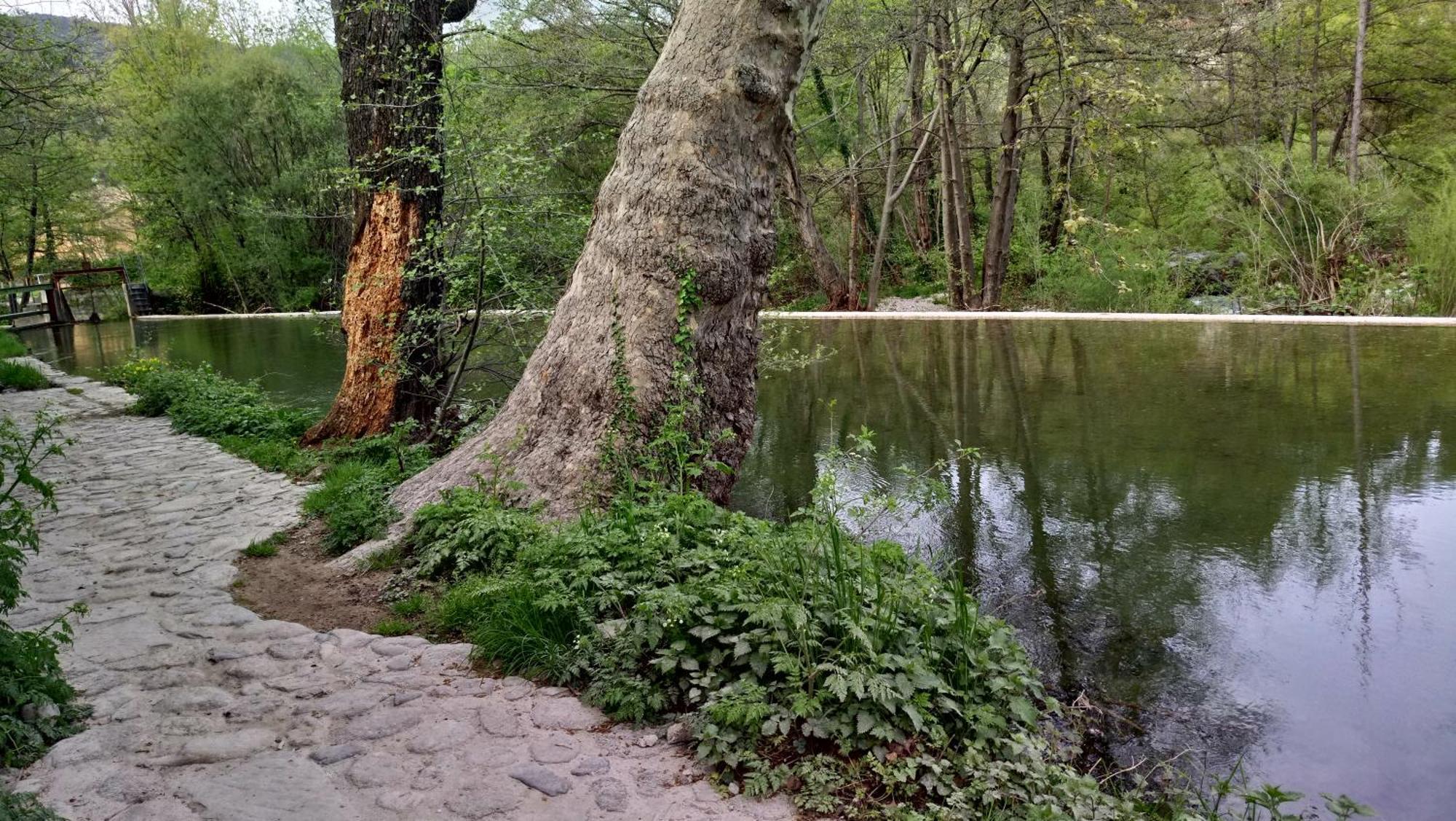 Le Moulin Aux Chandelles 2, Vacances & W-E, Vues Riviere, Montagne & Ville, Tout Confort Deconnecte, Eclairage Bougies, Connexions A 200M Au Centre Le Vigan Gite Les Amoureux De L'Arre, Randonnee Chemin De Saint-Guilhem-Le-Desert, Lire Profil Avant R ภายนอก รูปภาพ